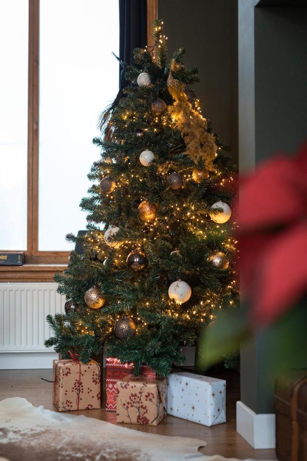 Cosy Nock ! Little Gem At City Center With Large Terrace ! Breda Exteriör bild